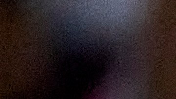 Djokovic mostró todo su talento tocando saxofón en multitudinario concierto en Belgrado [Video]