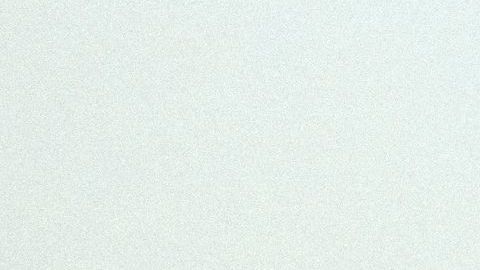 El programa piloto tendría una duración de unos seis meses y estaría dirigido a hombre adultos solteros.