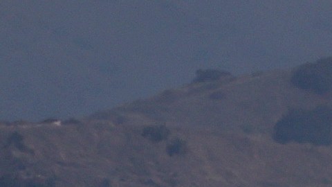 El incidente se reportó en un avión de Alaska Airlines.