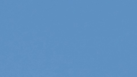 La oficina de Bowman anunció que el congresista llegó a un acuerdo con el Fiscal General de DC para retirar los cargos en tres meses.