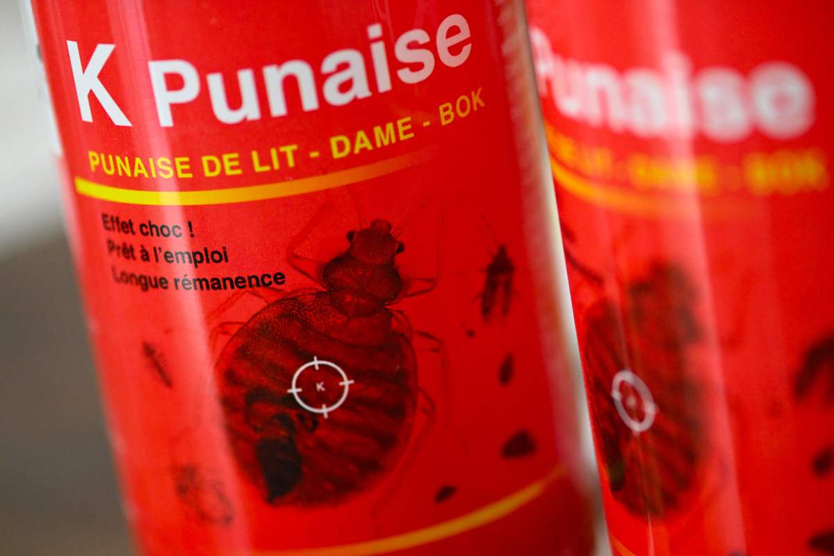 París se enfrenta a una invasión de chinches meses antes de los Juegos ...