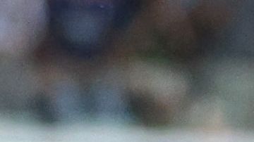 Bellingham principal favorito entre los 25 nominados al premio Golden Boy 2023