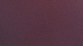 Aaron Rodgers dice presente en el MetLife Stadium por primera vez desde que se lesionó.