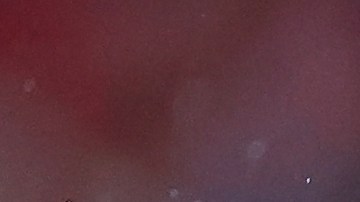 El jugador afirmó que saldrán a jugar lo mejor posible para buscar conseguir el triunfo ante los Tigres de la UANL.