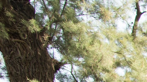 Soldados israelíes retiran los cuerpos de civiles que murieron días antes en un ataque de militantes palestinos.