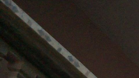 Devastación en Israel.