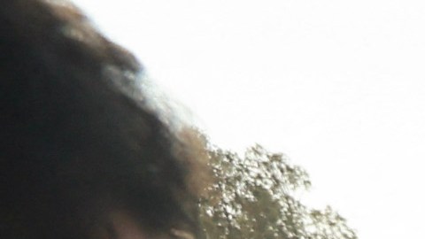 dolientes se reúnen alrededor de los cuerpos envueltos de miembros de la familia Agha, muertos en un ataque israelí en Khan Yunis, en la Franja de Gaza