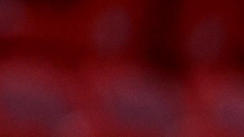 Jaime Jáquez Jr. durante el calentamiento del encuentro ante Detroit Pistons.