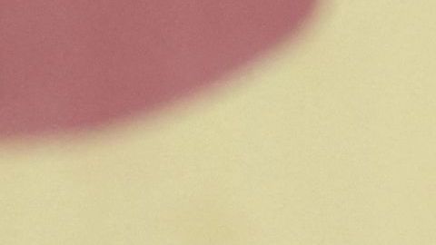 “Los Estados Unidos mandan mensajes al Eje de la Resistencia, pero reciben respuesta en el campo de batalla”