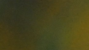 Neymar Jr., jugador de la selección Brasil.