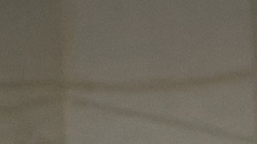 Republicano Austin Scott se postuló a la Presidencia de la Cámara Baja de Estados Unidos