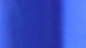 DeSantis se sumó al coro de voces republicanas que criticaron a los estudiantes de Harvard.