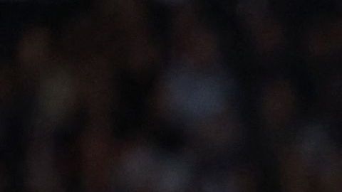 Argentina terminó su histórica actuación en el Mundial de Rugby apaleada por los All Blacks