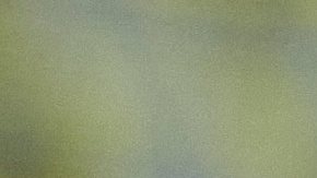 Además de Pacquiao, Cristiano Ronaldo también admira a otros peleadores como Conor McGregor o Gennady Golovkin.