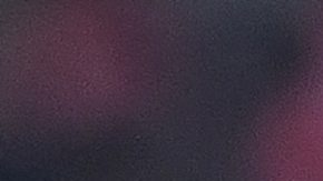 El entrenador tendrá que pagar una multa que ronda los $2,700 dólares por usar la camisa con la imagen de la Virgen de Guadalupe.