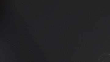 Casa Blanca rechazó promesa de Donald Trump contra los refugiados de Gaza: “Repugnante y peligrosa”