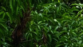 Guerrero es uno de los estados más violentos del país.