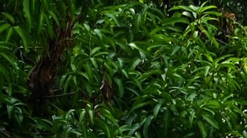 Guerrero es uno de los estados más violentos del país.