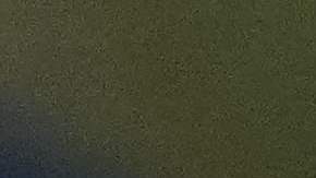 Rehén liberada por Hamás