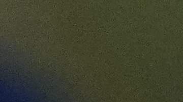 Rehén liberada por Hamás