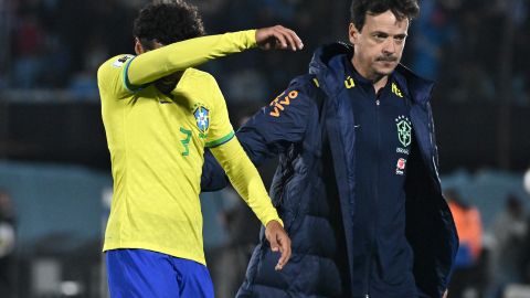 Fernando Diniz, entrenador interino de la selección brasileña.