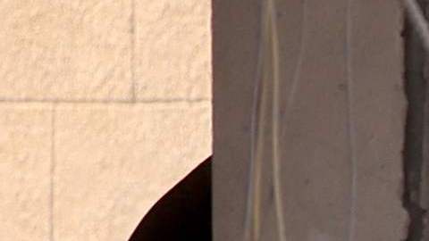 Las autoridades han sido alertadas sobre la posible presencia de 1,550 personas bajo los escombros.