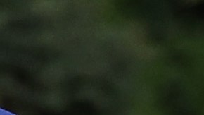 El fanático fue capturado casi de manera instantánea por las autoridades policiales.