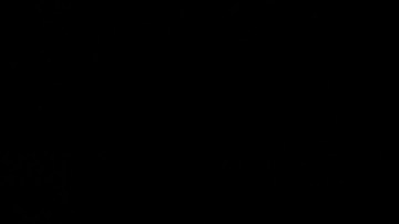 NEW YORK, NEW YORK - OCTOBER 18: A'ja Wilson celebra con el trofeo de la WNBA. Sarah Stier/Getty Images)