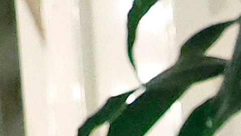 “Me gusta mucho Tom Emmer como persona, pero no podía apoyarlo como presidente de la Cámara", dijo Marjorie Taylor Greene.