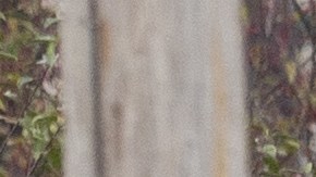 La presencia policial en la zona se ha incrementado significativamente, mientras los grupos de búsqueda intensifican sus esfuerzos para capturar al sospechoso.