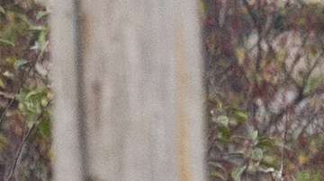La presencia policial en la zona se ha incrementado significativamente, mientras los grupos de búsqueda intensifican sus esfuerzos para capturar al sospechoso.