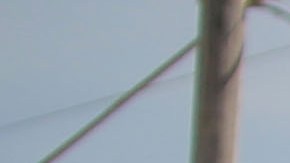 La OMS destacó que la ayuda que entró en la Franja "apenas" cubre las necesidades sanitarias.