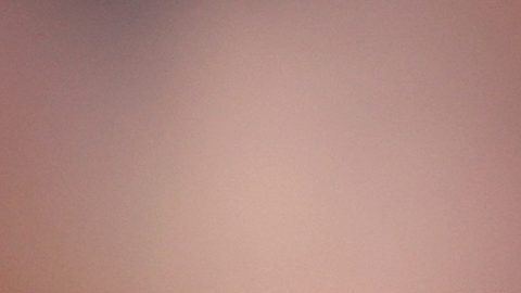 Guardiola feliz del "gran cumplido" de Messi al comparar a la selección Argentina con el Barcelona
