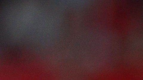Carlo Ancelotti durante el encuentro ante Sevilla.