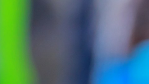 El entrenador de los Pumas podría ser sancionado por su camisa de la Virgen de Guadalupe.