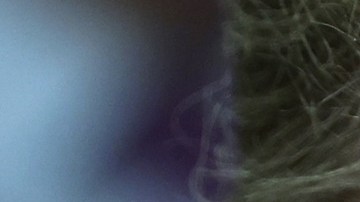 Former President Trump's Civil Fraud Trial Continues In New York City