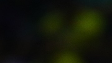 Ake Loba sale del campo de juego luego de la grave lesión que sufrió.