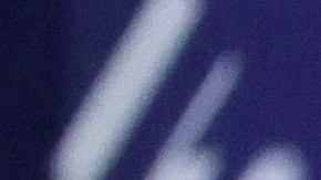 "No es una cuestión de la Primera Enmienda. Ése es un apoyo material al problema del terrorismo”, dijo DeSantis.