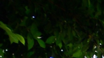 Oficina del Seguro Social