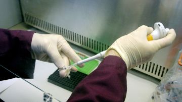 La empresa Othram que pudo construir un perfil de ADN haciendo uso de material genético de una manta hallada en el cadáver.