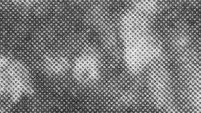 Miembros nazis en Múnich en 1939.