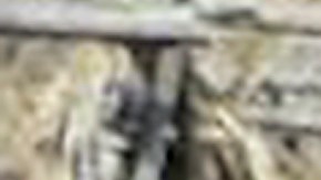 La colombiana Shakira quiso regalarle una experiencia inolvidable a su amigo Carlos Vives.