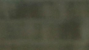 Selección de Palestina durante un encuentro amistoso ante Club Palestino de Chile.