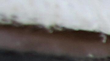 Hotel Chelsea, un "sitio embrujado" en Nueva York.