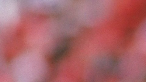 Russ Francis cuando jugaba en los San Francisco 49ers en 1986.