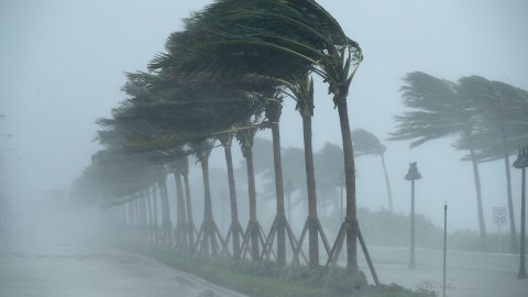 Huracán Irma en Florida