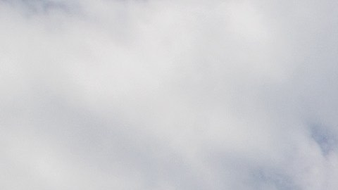 El Departamento de Policía de la Universidad de Cornell le está dando seguimiento a la situación.