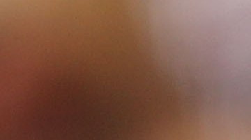 Los perritos fueron los protagonistas del encuentro entre Fortaleza y América-MG.