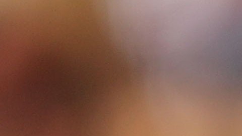Los perritos fueron los protagonistas del encuentro entre Fortaleza y América-MG.