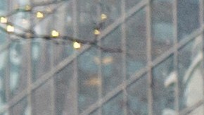 Organizaciones como TheDream.US buscan que indocumentados tengan acceso a la educación.